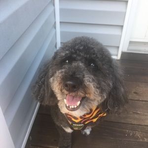 Meet your Posher, Jen